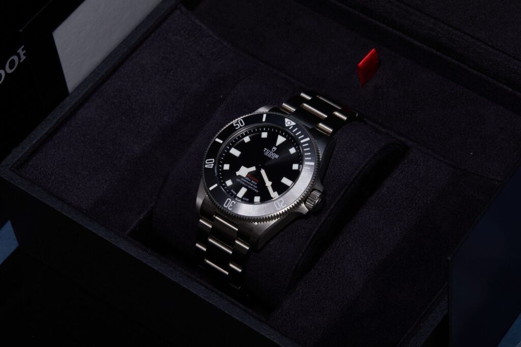 Tudor Pelagos 25407N - image 4