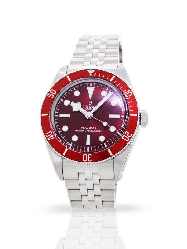 Tudor Black Bay 58 7939A1A0RU